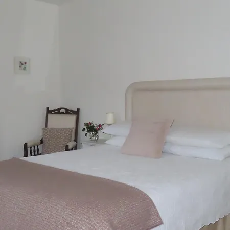 The Humble Daisy Woodford (Connacht)