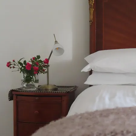 The Humble Daisy Tatil Evi