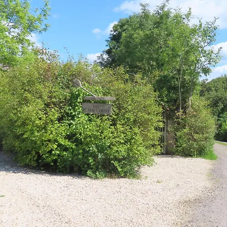 The Humble Daisy Woodford (Connacht)