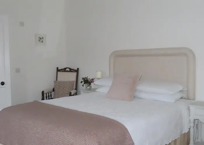 The Humble Daisy Woodford (Connacht)