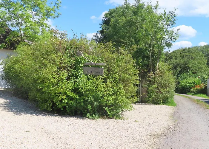 The Humble Daisy Woodford (Connacht)