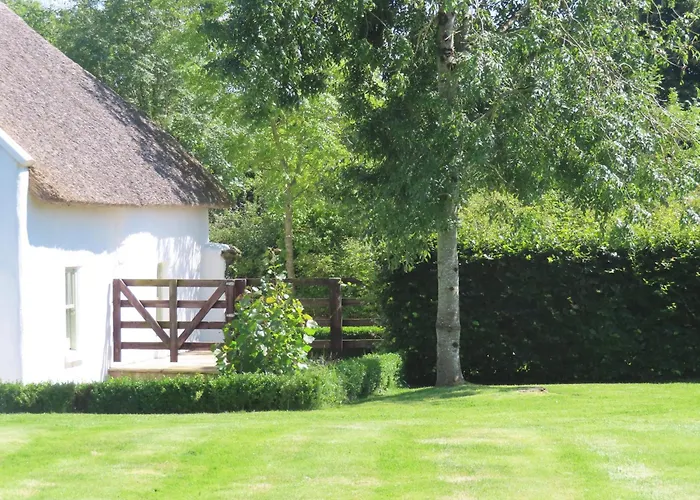 The Humble Daisy Prázdninový dům